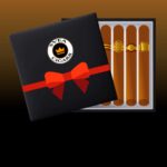 kategori ikon icon cigarrpaket