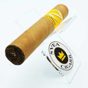 produktbild zino nicaragua robusto styck 1